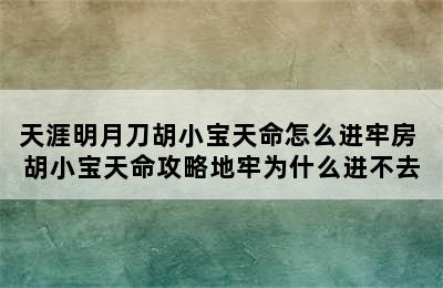 天涯明月刀胡小宝天命怎么进牢房 胡小宝天命攻略地牢为什么进不去